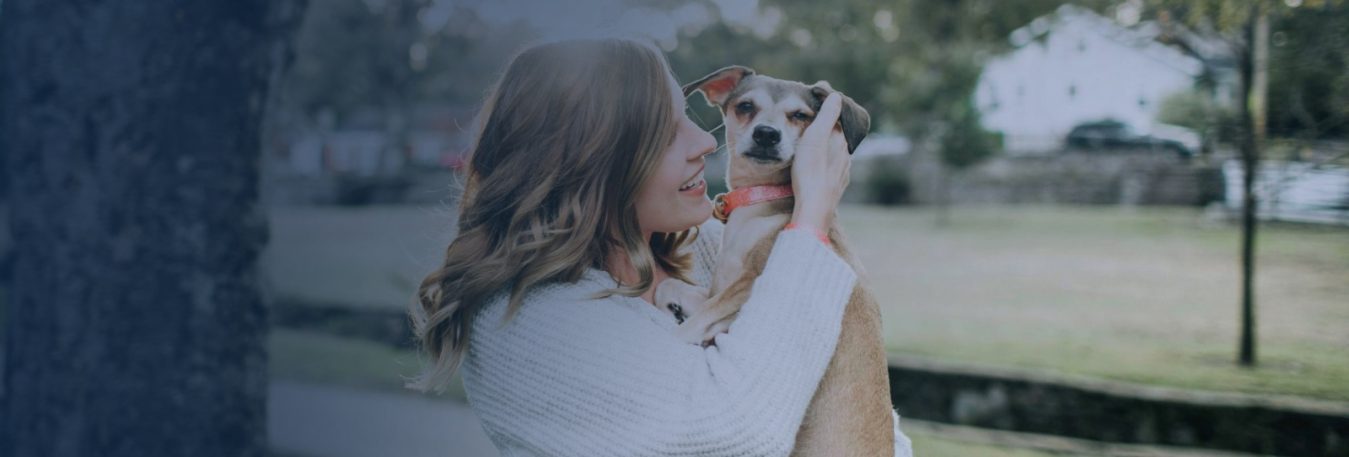 bannar-lc-pet-vibes bannar-lc-pet-vibes
