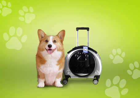 banner-mascotas-etco pet vibes lc importaciones